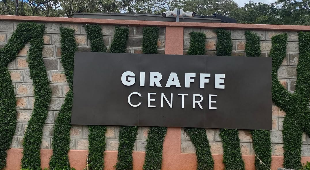 Giraffe Centre