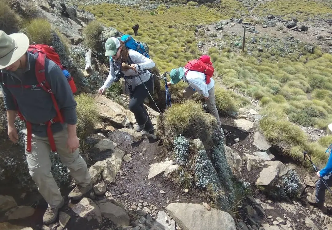 Guided vs. Independent Hikes