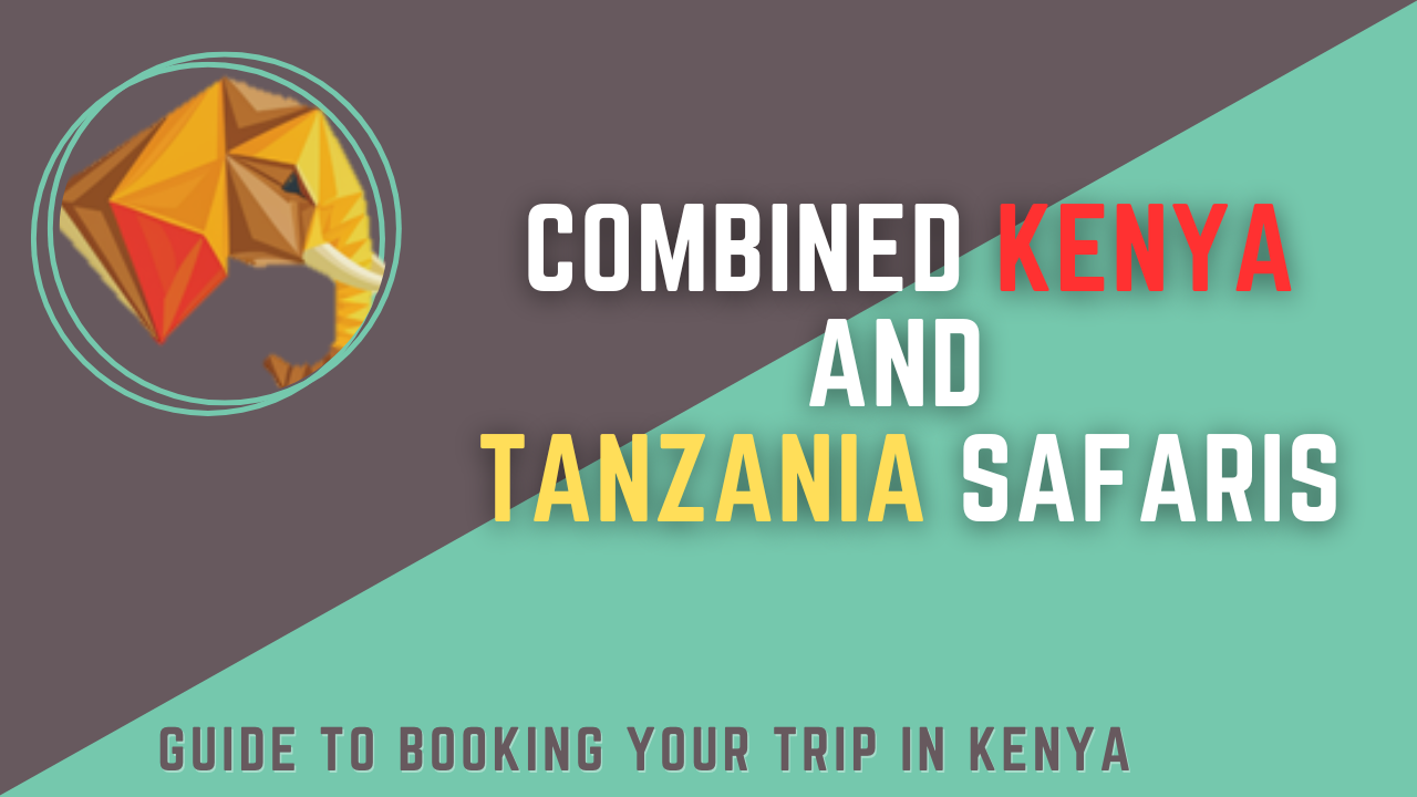 Witnessing The Great Migration on Your Combined Kenya-Tanzania Safari