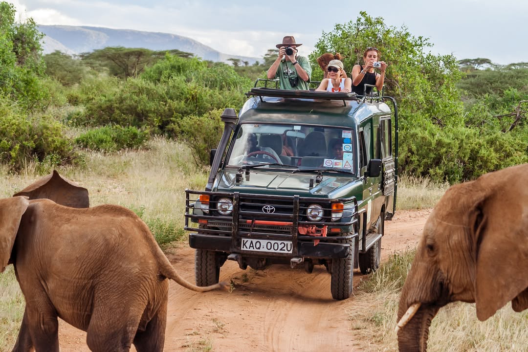 Combined Kenya and Tanzania Safari Itinerary for 7 Days