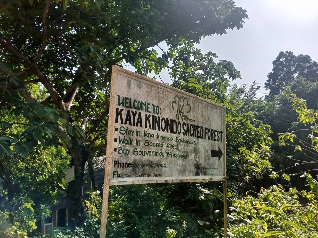 Kaya Kinondo Sacred Forest