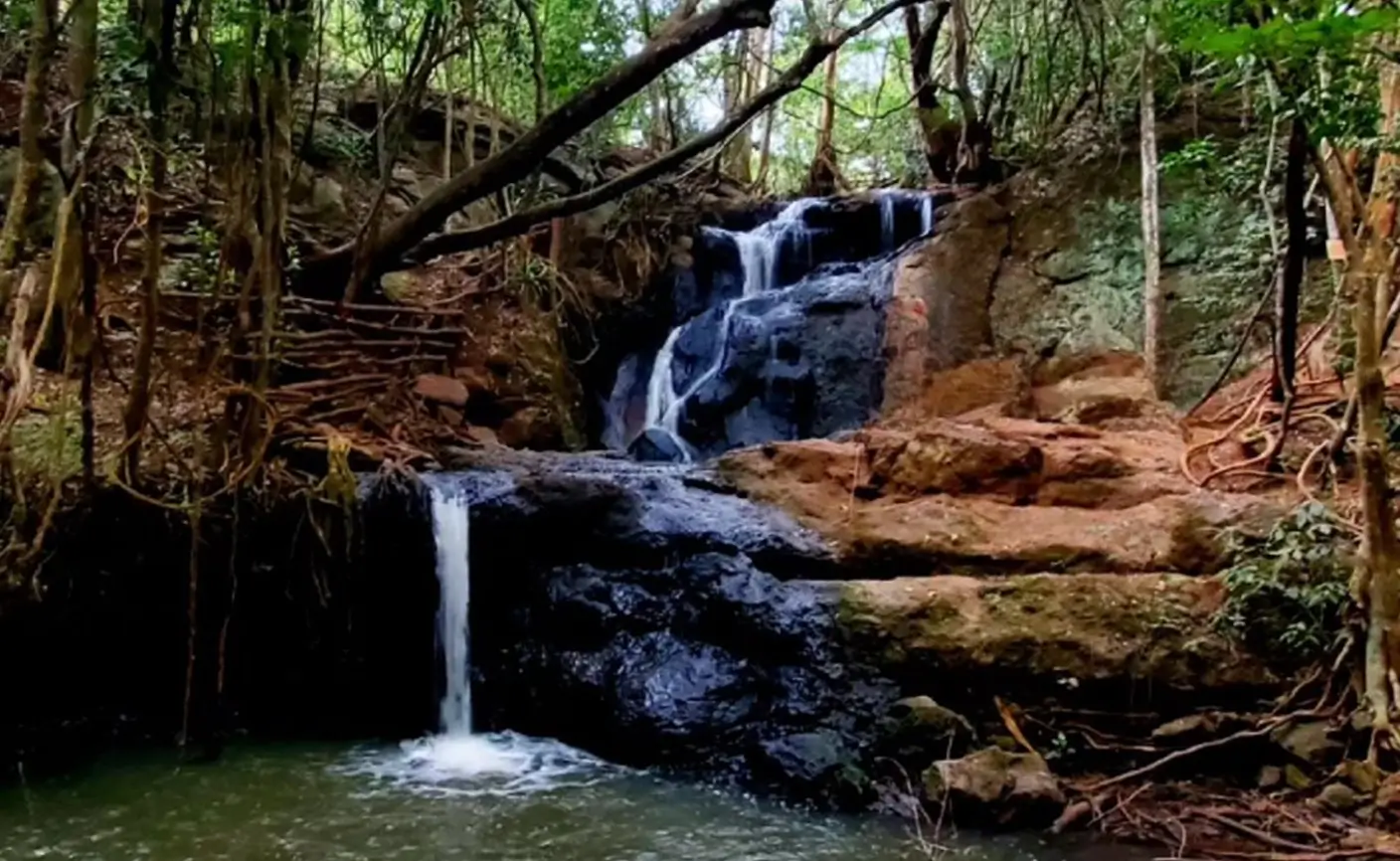 Karura Forest Waterfalls Visit