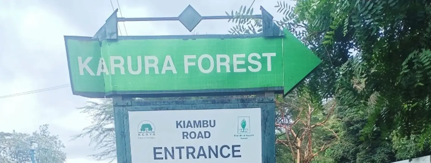 Karura Forest Entry Fee & Charges