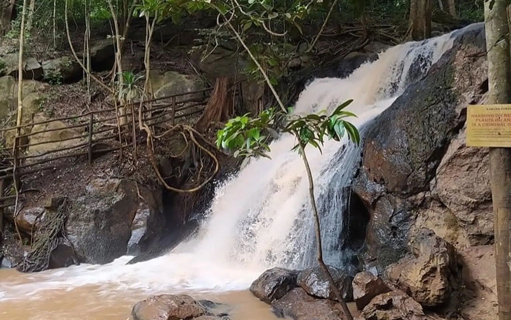Karura Forest Activities
