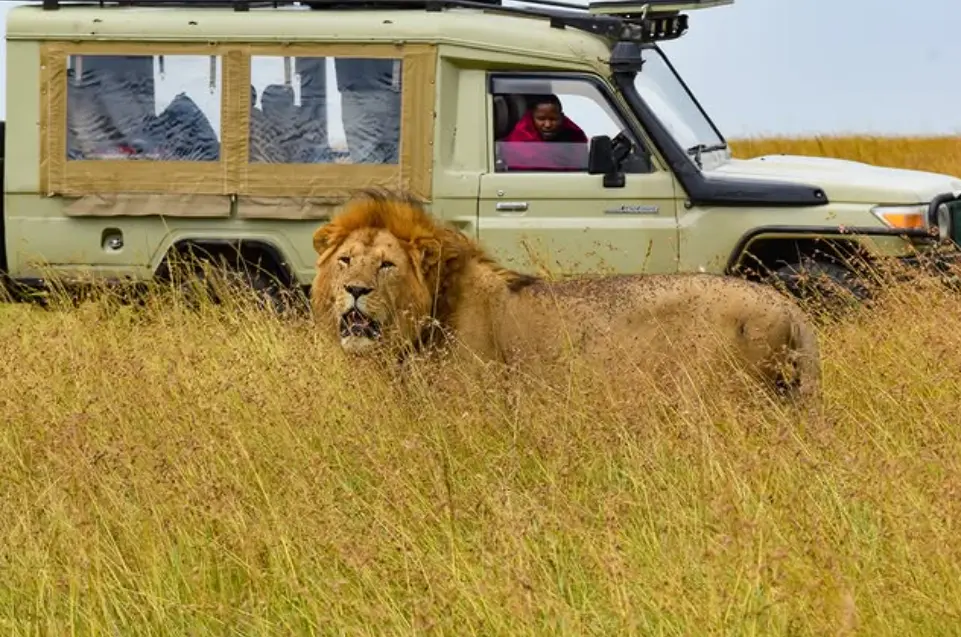 Ihre Safari Kenia und Tansania 7 Tage Abenteuer Ostafrika