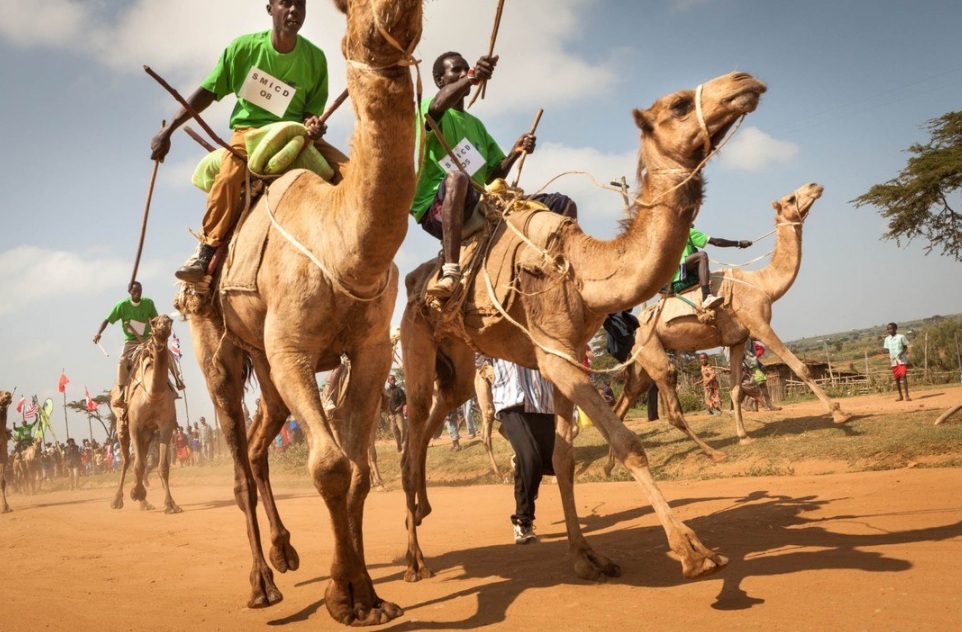 Maralal International Camel Derby 2025