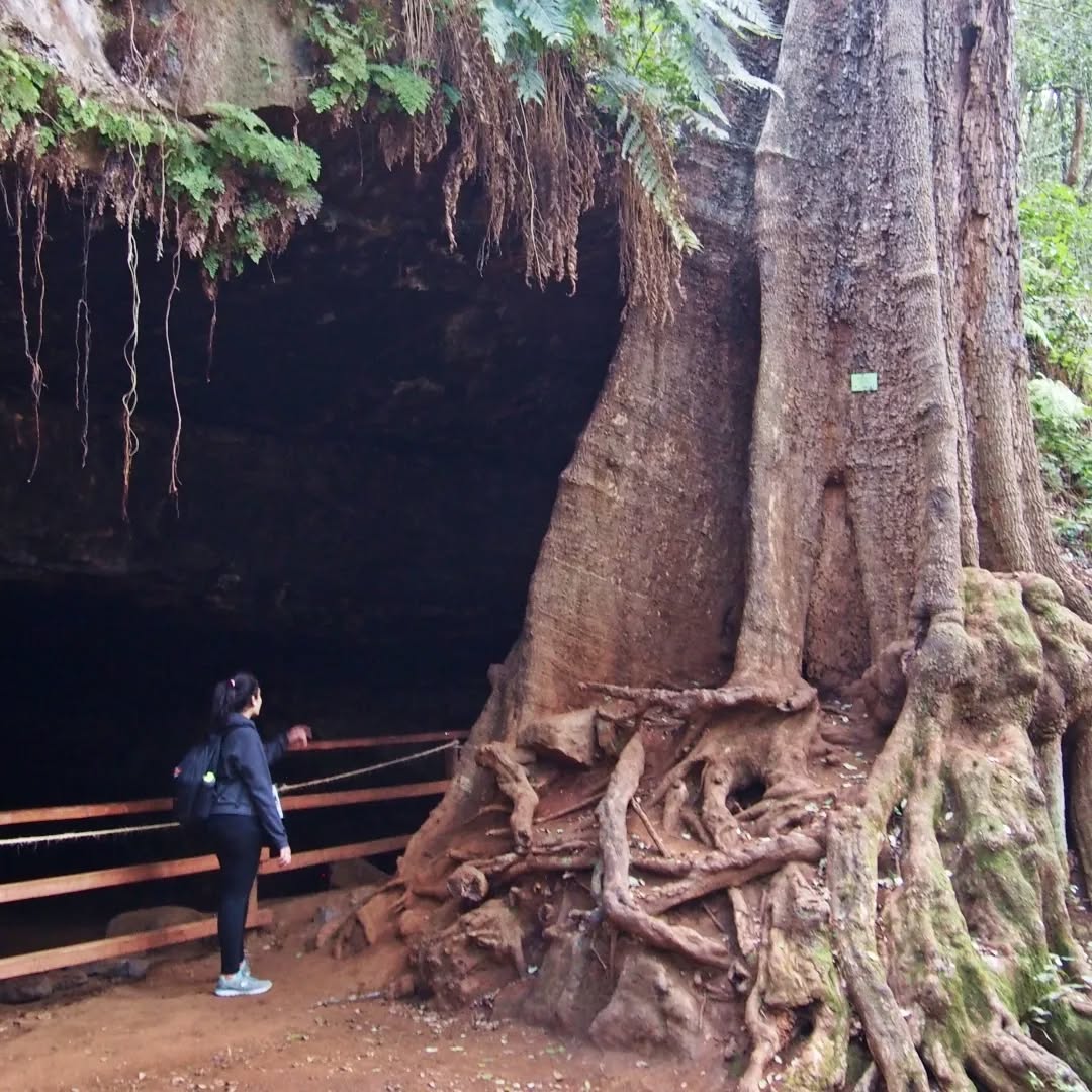 mau mau caves at karura forest