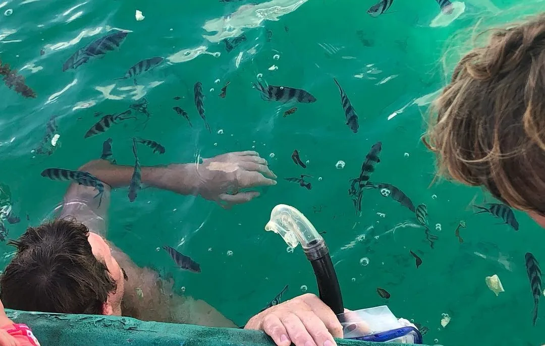 Full Day Watamu with Dolphin Watching, Snorkeling, Sea Food Lunch