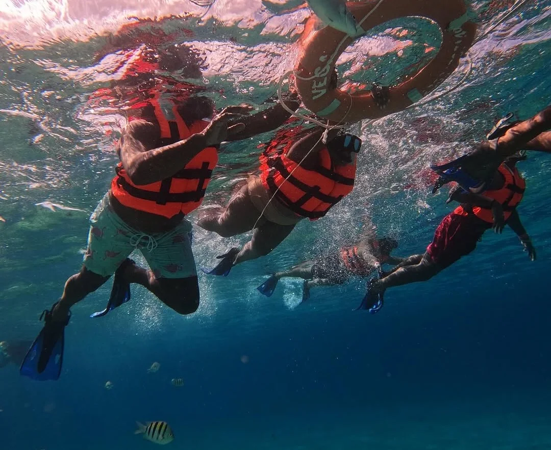 Swimming with Dolphins Watamu